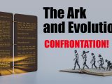 The Ark and Evolution